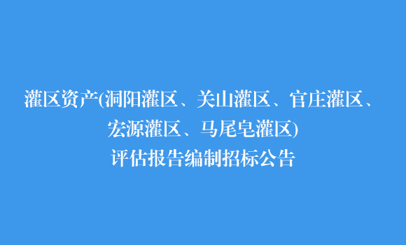 灌區資產(洞陽灌區、關山灌區、官莊灌區、宏源灌區、馬尾皂灌區)評估報告編制招標公告